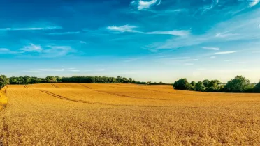 Niektoré produkty z Ruska a Bieloruska budú podliehať novému clu