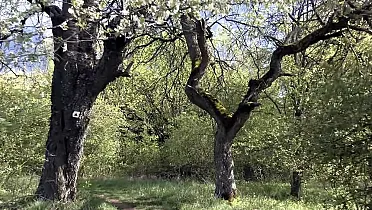 Odbočka na vyhliadku