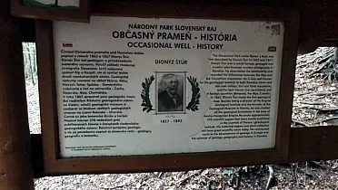 Panel pri Občasnom prameni