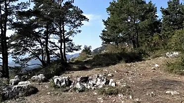 Vrcholová plošina