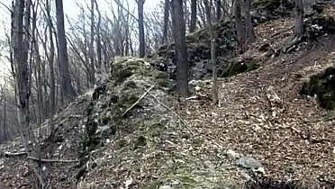 Zostatky hradu ukryté v lese