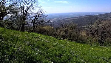 Výhľad pod vrcholom