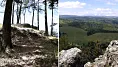Zelená skala