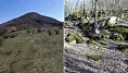 Žibrica