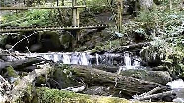 Malachovská tiesňava