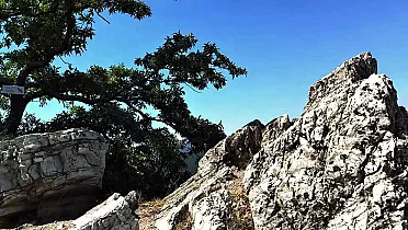 Veľký Lysec - vrchol