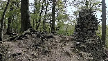 Ruina ukrytá v lese