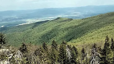 Výhľad z Vtáčnika