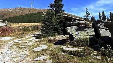 Pod Kráľovou hoľou