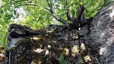 Skalné kráľovstvo