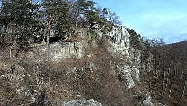 Vápencová bralná skala