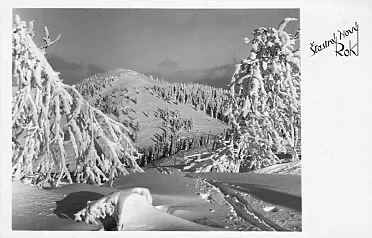 Zasnežená novoročná krajina