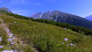 Chodník od Štrbského plesa