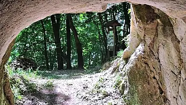 Pohľad z pivnice