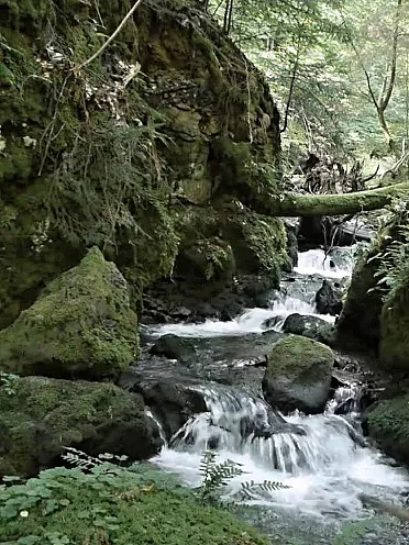 Potok vytvoril krátku Malachovskú tiesňavu