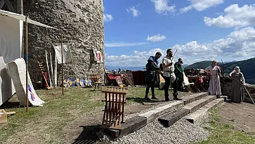 Rytierska skupina Vir Fortis