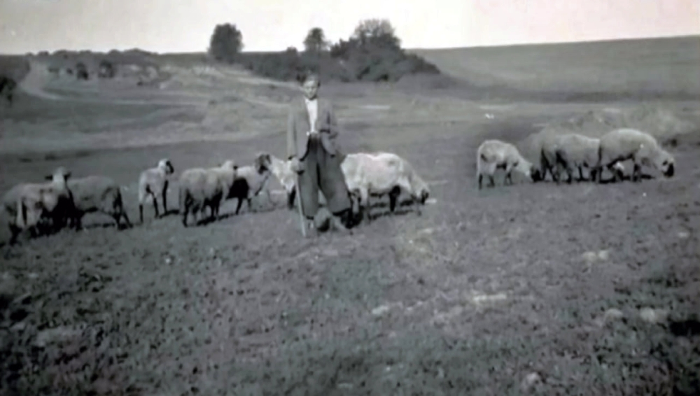 Pastier s ovcami na Kupči.