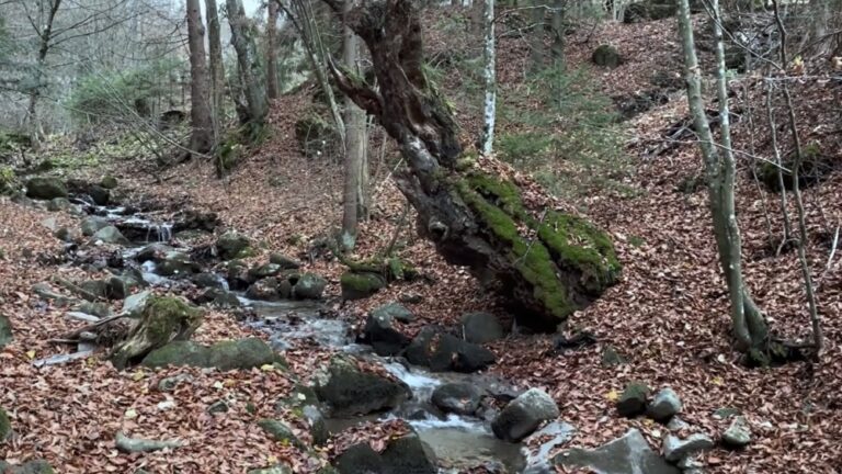 Tiesňavou pretekajúci Farebný potok vytvára 7 metrový vodopád.