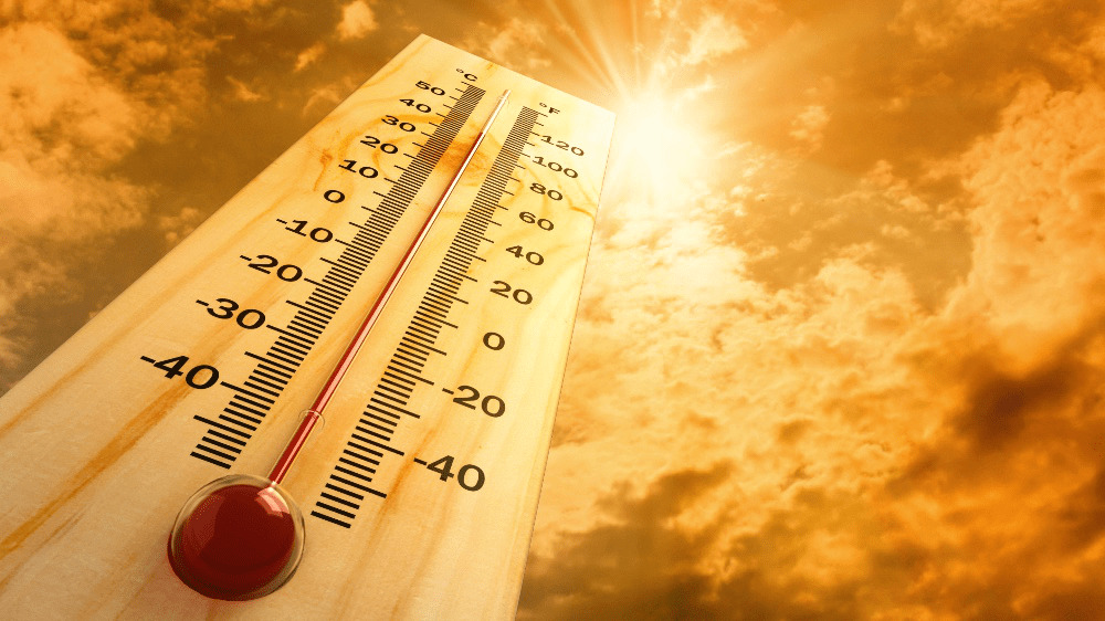Meteorologická zima končí už o pár dní