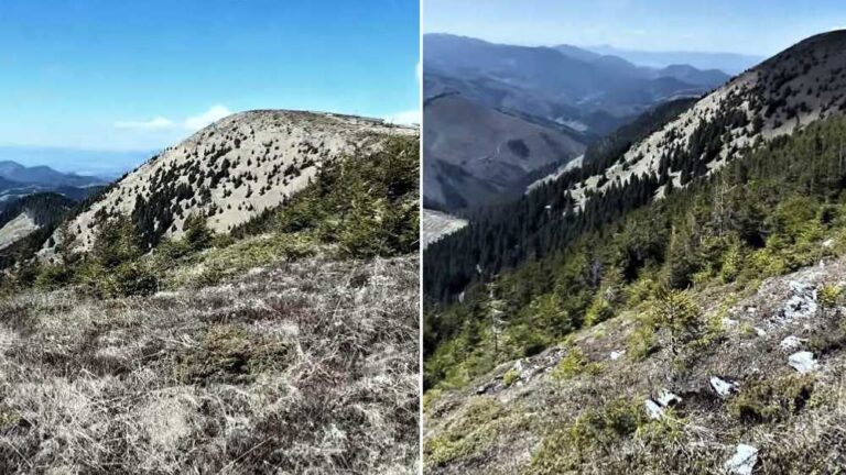 Výrazný vrch v Nízkych Tatrách je známy nádherným panoramatickým výhľadom.