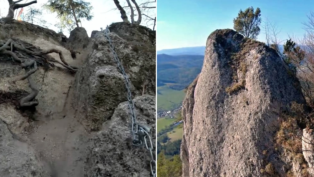 Žibrid