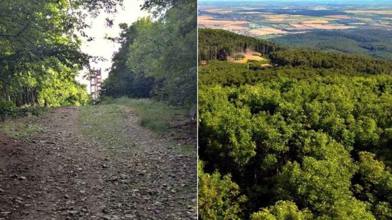 Vrch s rozhľadňou je vyhľadávaným turistickým cieľom v Malých Karpatoch.
