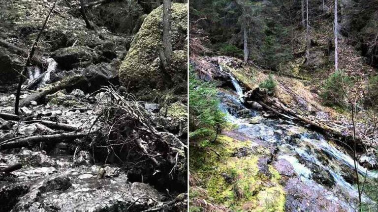 Dolina Vyvieranie je klenot Nízkych Tatier s nádhernou divokou prírodou.
