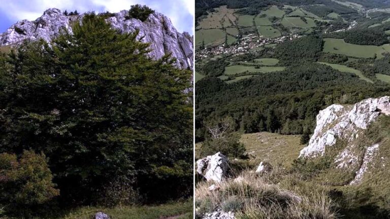 Vápeč je jedným z najkrajších a najatraktívnejších vrchov v Strážovských vrchoch.