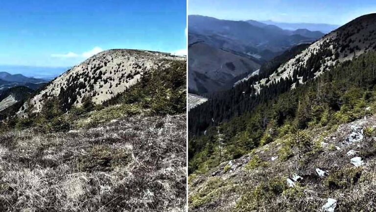 Veľký Bok je výrazný vrch v Nízkych Tatrách, s nádherným panoramatickým výhľadom.