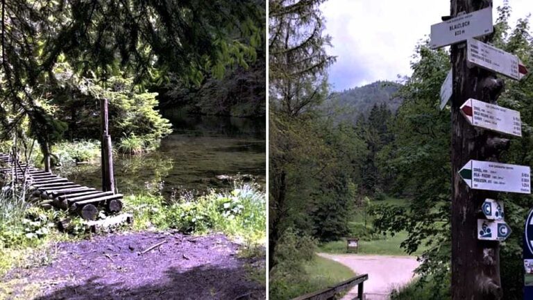 Dolina Blajzloch ponúka relaxačnú prechádzku v krásnej prírode Slovenského raja.
