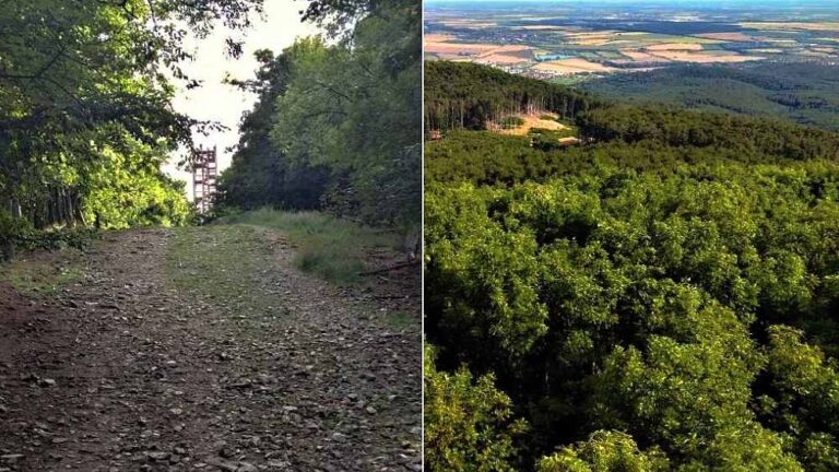 Veľká homoľa je jeden najznámejších vrchov v Malých Karpatoch.