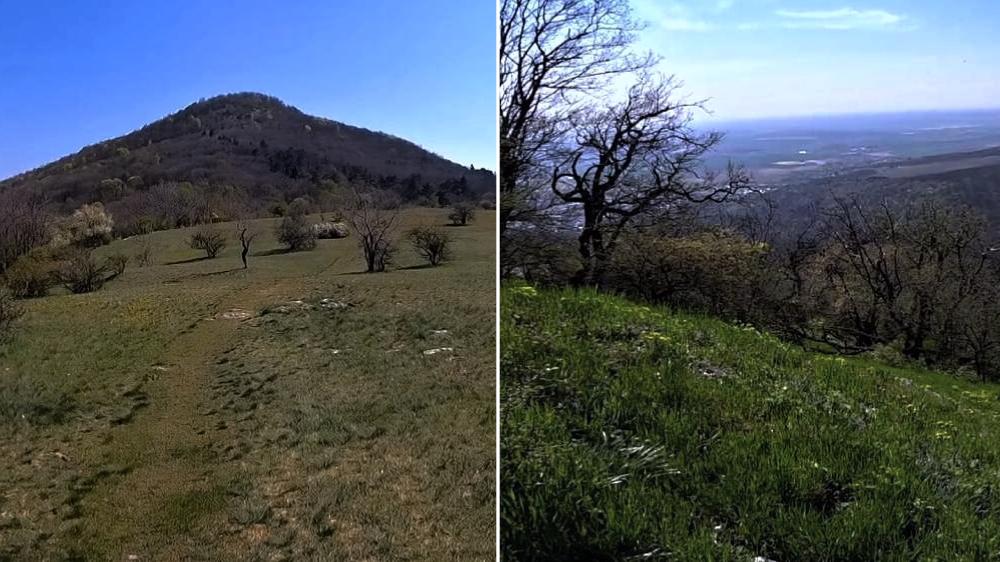 Vrch Žibrica